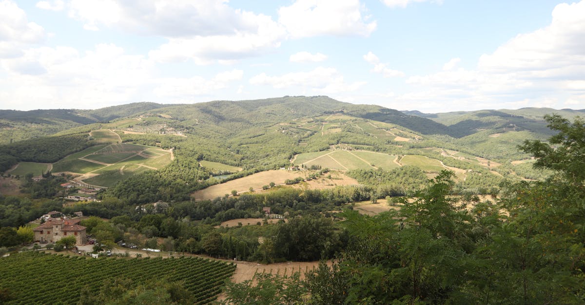 Castellina in Chianti