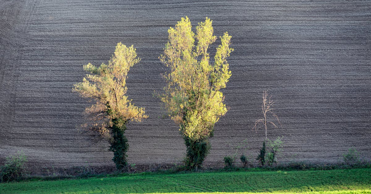Castelluccio di Norcia