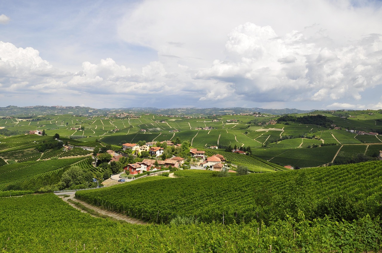 Cerretto Langhe