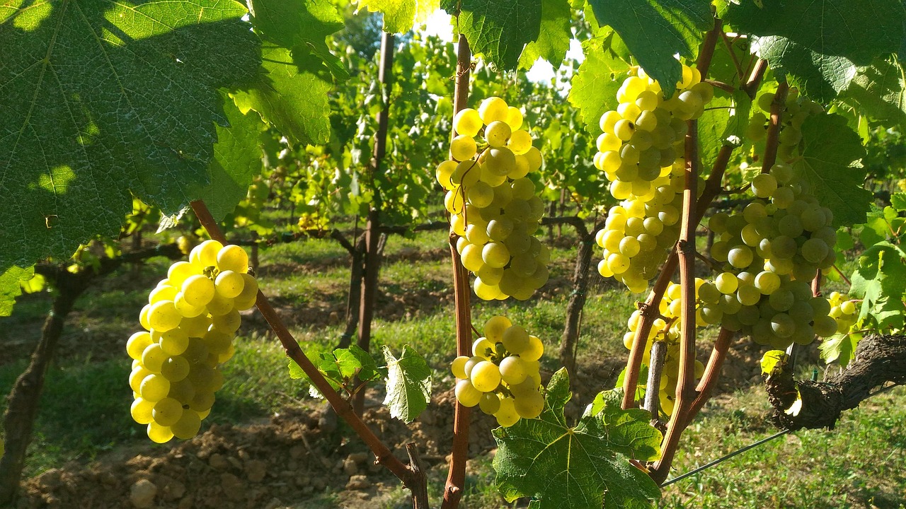 Paderno Franciacorta