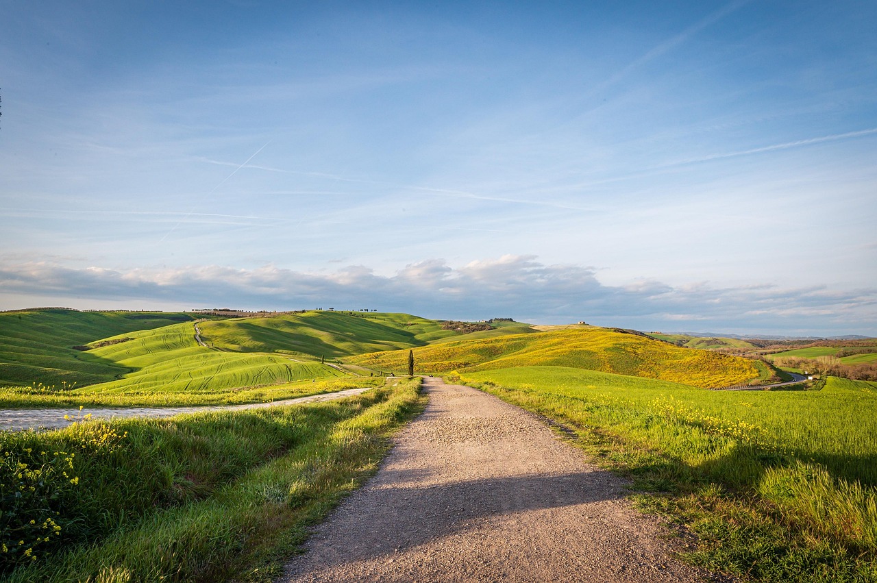 San Francesco al Campo