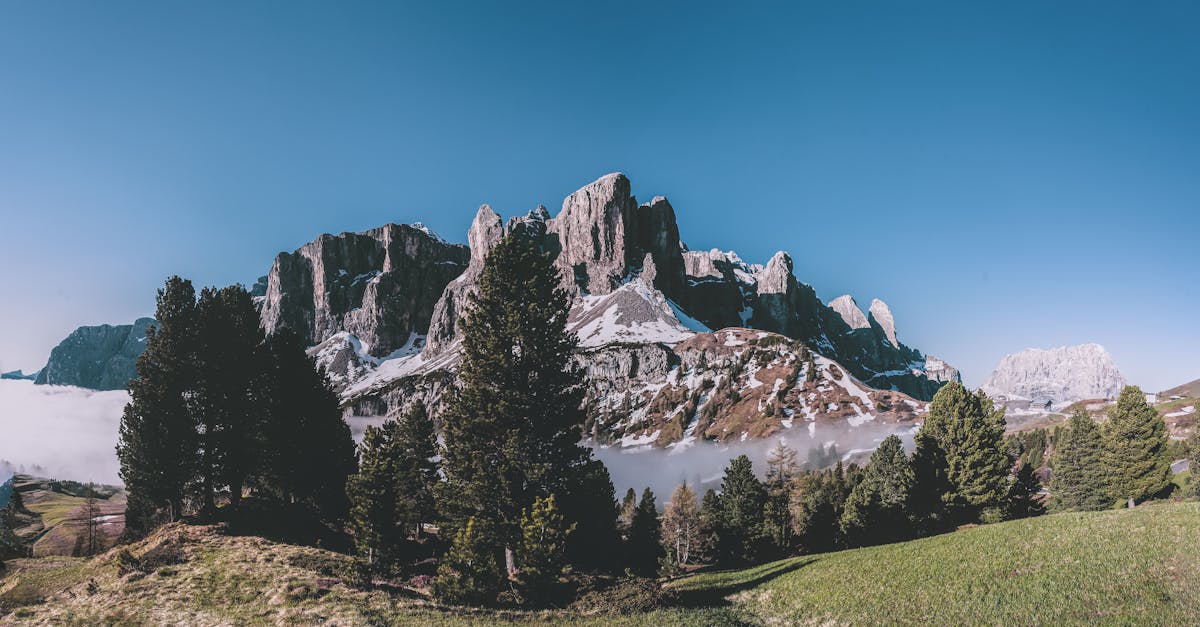 Selva di Val Gardena