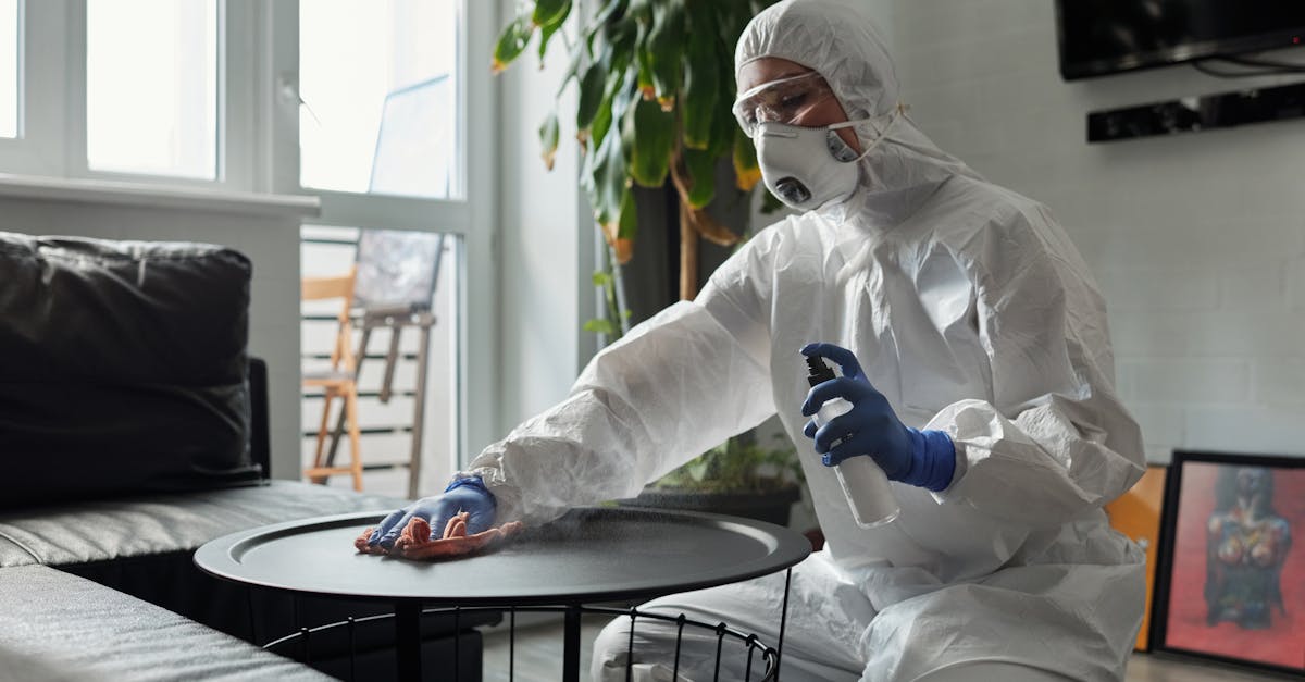 Pulizie professionali: cosa chiedere e quanto pagare